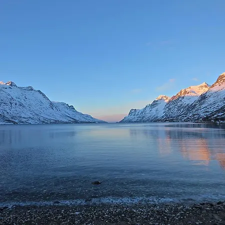 Brygge شقة فندقية *